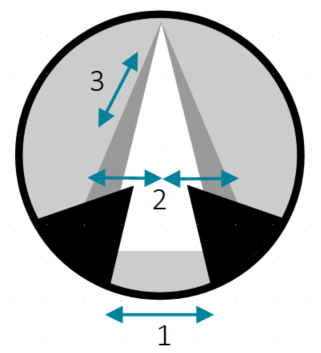 Schéma représentant les cordes vocales vues du larynx