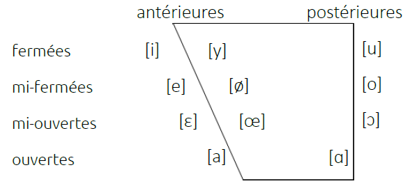 représentation en trapèze du système vocalique du français