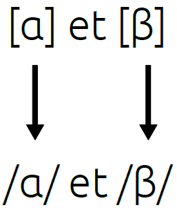 Schéma deux phonèmes différents