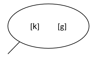 [k]/[g]