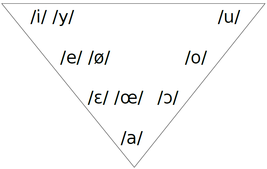 Représentation schématique du système vocalique du français