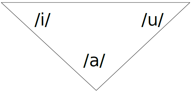 Représentation schématique du système vocalique de l'arabe