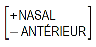 Matrice : +NASAL -ANTERIEUR