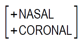 Matrice : +NASAL +CORONAL
