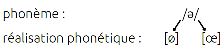 "e" muet : phonème /ə/, réalisation phonétique [ø] ou [œ]