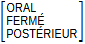 Matrice : ORAL FERMÉ POSTÉRIEUR