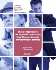 Couverture du Bilan de l'application des dispositifs promouvant l'égalité professionnelle entre femmes et hommes