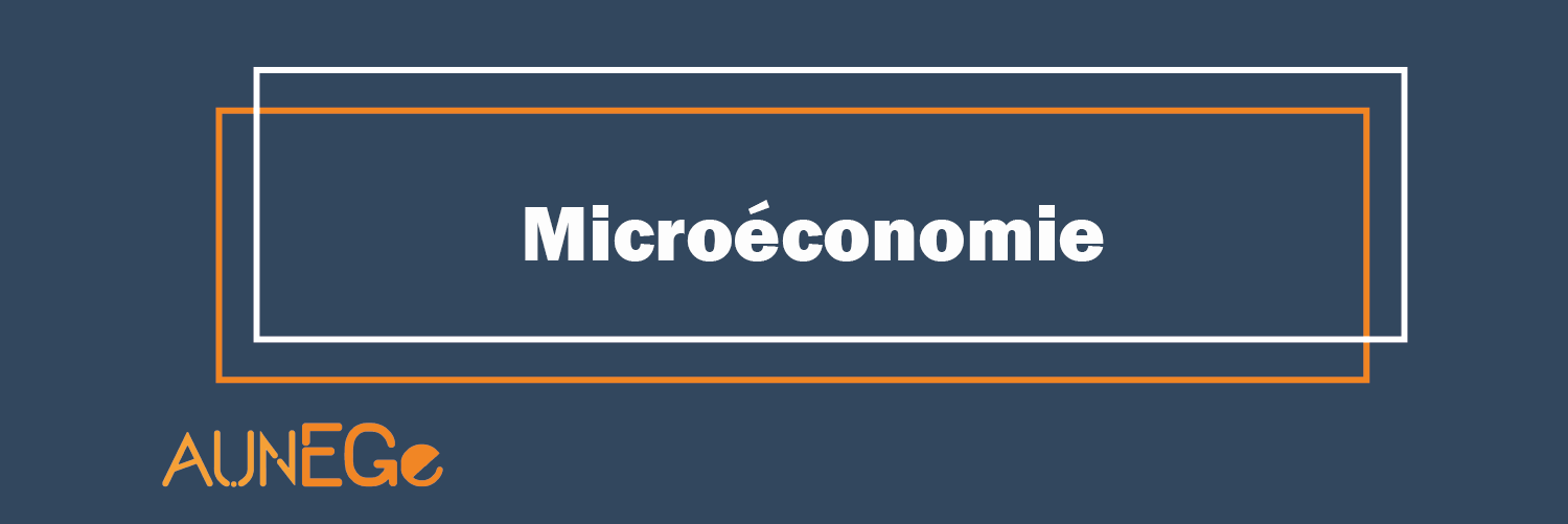 Microéconomie 1