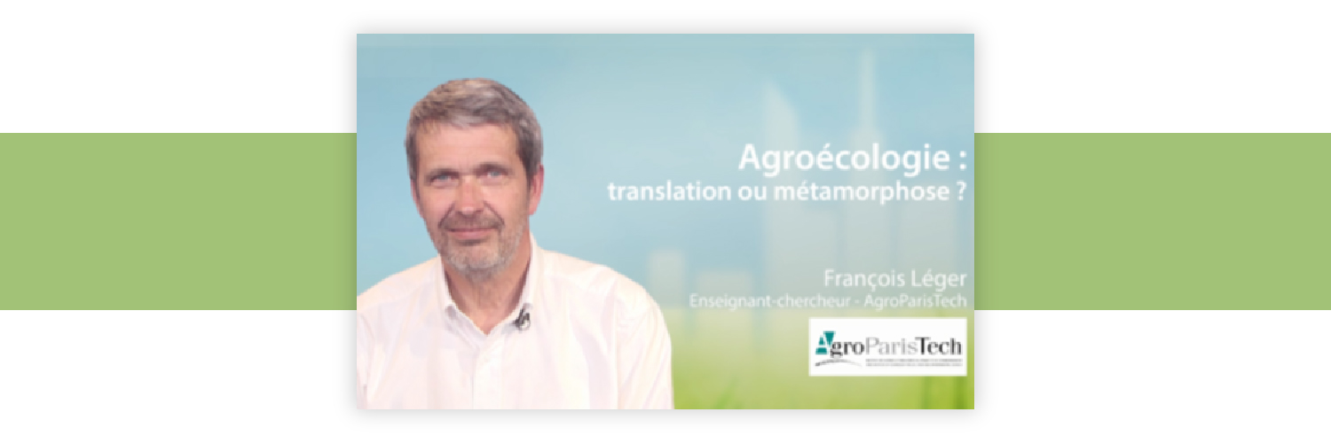 Agroécologie : translation ou métamorphose ?